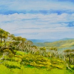 Mount Hotham Alpine Skyline