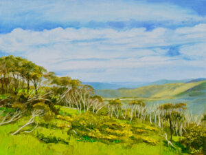Mt Hoyham Alpine Skyline
