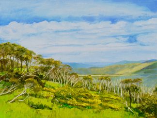 Mt Hoyham Alpine Skyline