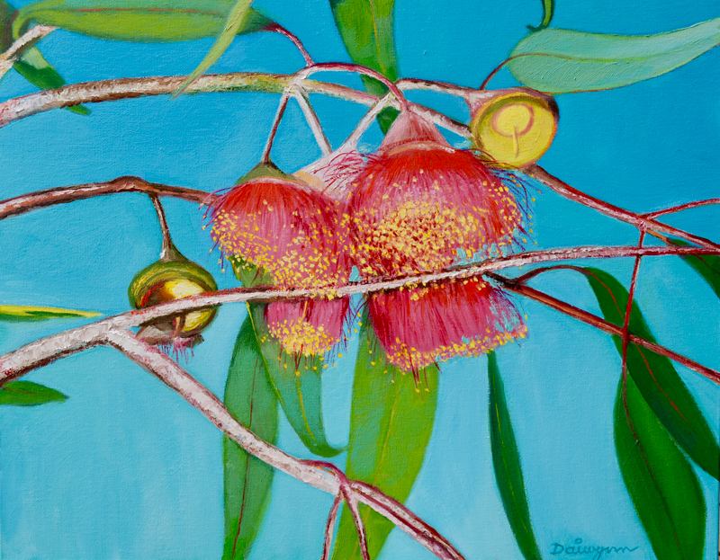 Pink Eucalyptus Blossoms