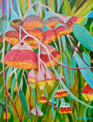 Pink Flowering Gum Blossoms