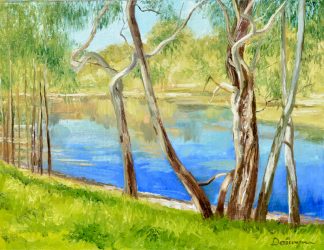 Yarra River Billabong