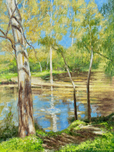 Yarra In Spring Flood
