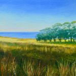 Skenes Creek Evening Shadows