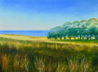 Skenes Creek Evening Shadows