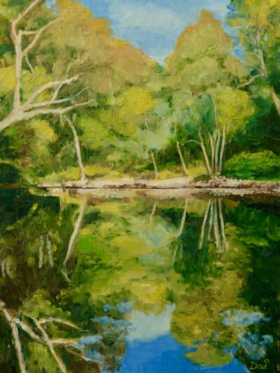 Yarra at Ivanhoe in Autumn