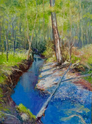 Afternoon Sun on a Bushland Creek