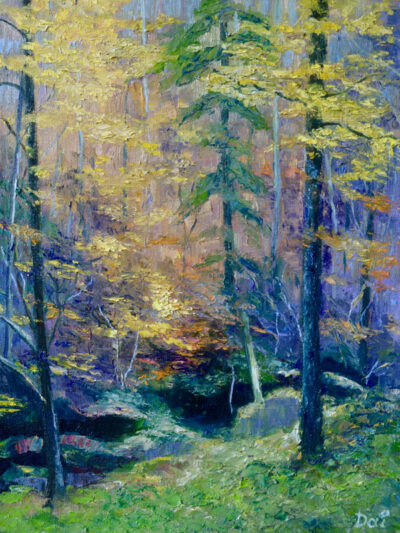 Black Forest Autumn