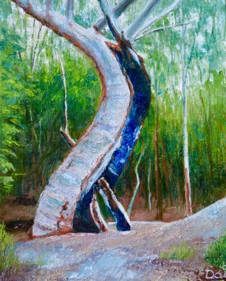 Burnt Scarred Tree Trunk