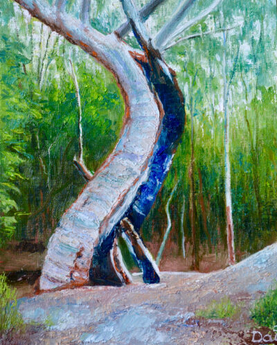 Burnt Scarred Tree Trunk