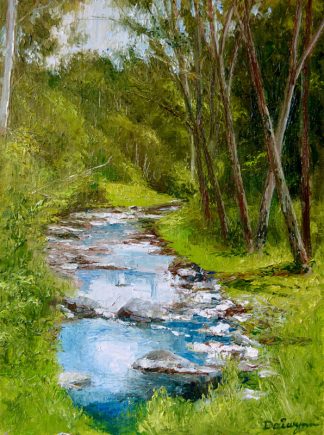 Darebin Creek at Midday