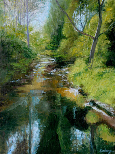 Darebin Creek Early Morning