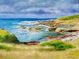 Colliers Beach Surprise Bay