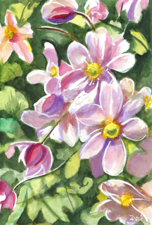 Anemones 2023