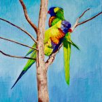 Rainbow Lorikeet Love Birds