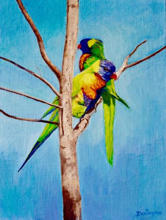 Rainbow Lorikeet Love Birds