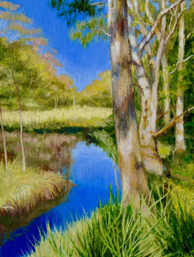 Billabong Early Morning Sunshine