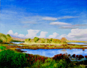 Ebb Tide Kinvarra Eire