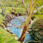 Darebin Creek at the Birrarung