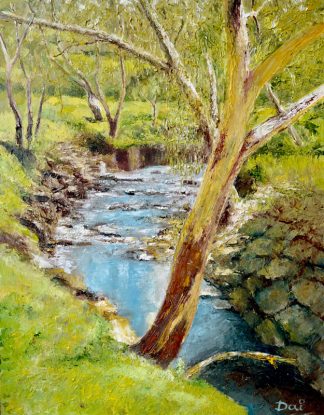 Darebin Creek at the Birrarung