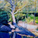 River Bank Morning Sun