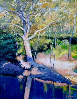 River Bank Morning Sun