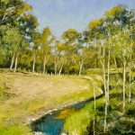 Salt Creek Rosanna Parklands