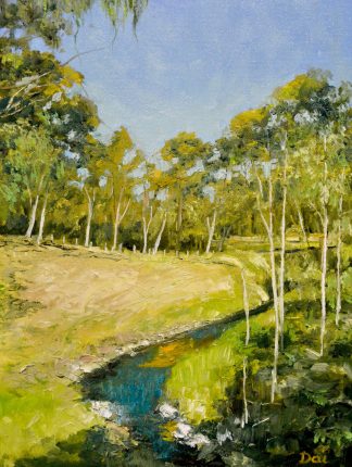 Salt Creek Rosanna Parklands