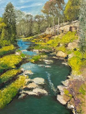 Sunshine on Darebin Creek