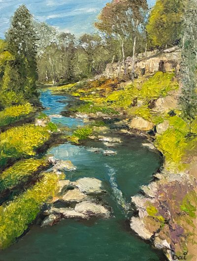 Sunshine on Darebin Creek