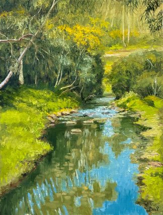 Wattle Blossom on Darebin Creek