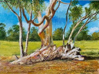 Mother Nature's Sculpted Log