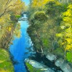 Wattle Blossoms over Darebin Creek