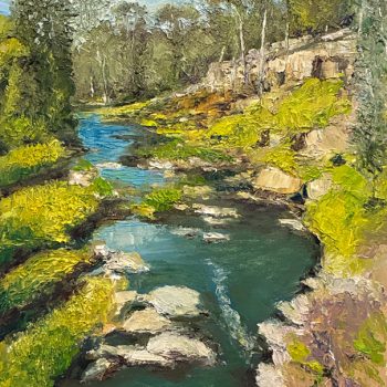 Sunshine on Darebin Creek