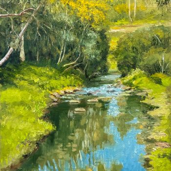 Wattle Blossom on Darebin Creek