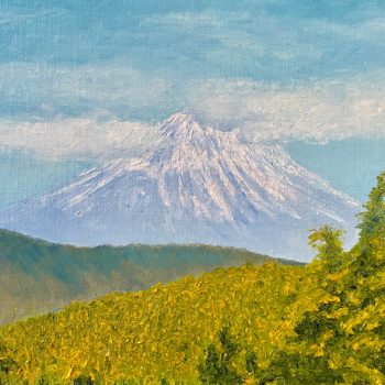 Mt Fuji from Hakone