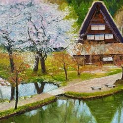 Shirakawa Cherry Blossom Japan