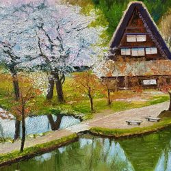 Shirakawa Cherry Blossom Japan