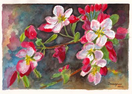 Apple Blossoms SOLD