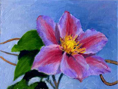 Clematis SOLD