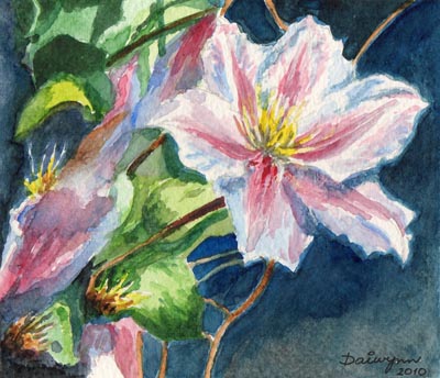 Clematis SOLD